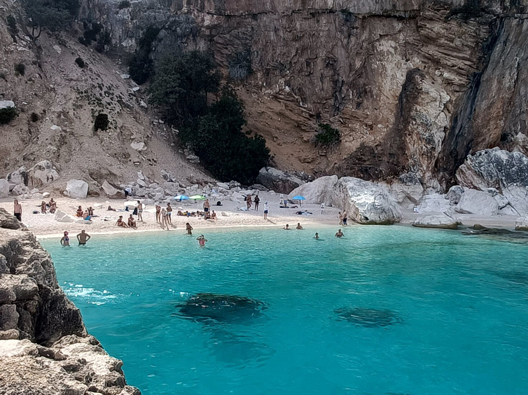 Nuovo Consorzio Trasporti Marittimi Cala Gonone-Cala Gonone必去景点