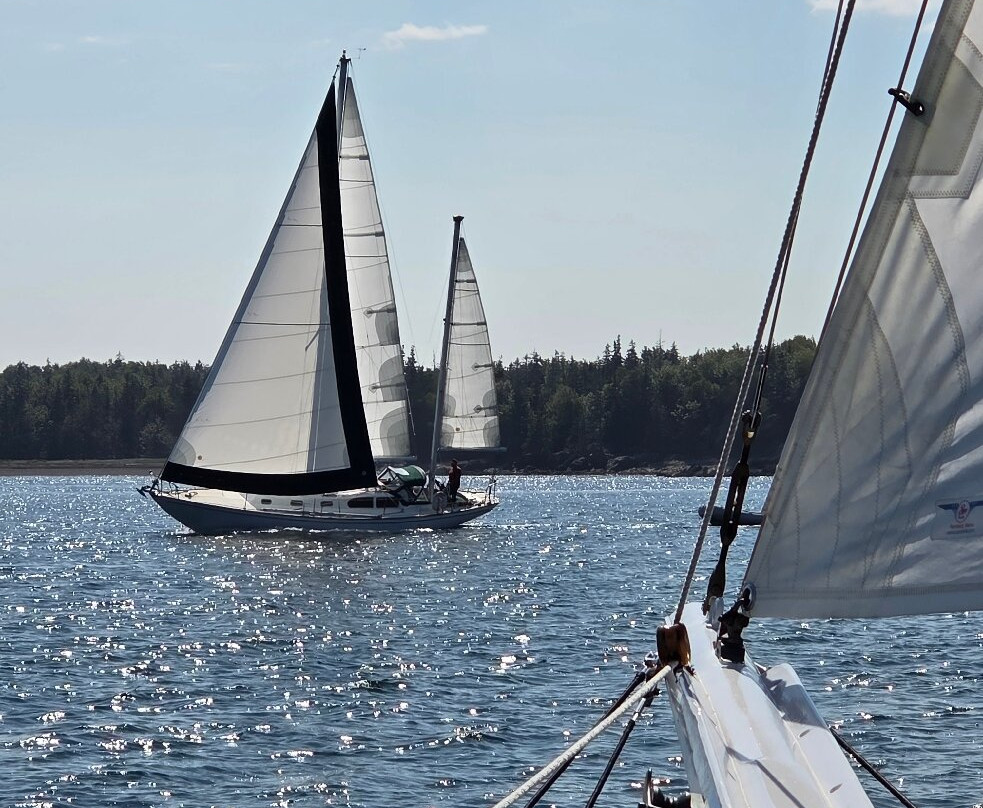 A Morning In Maine-罗克兰必去景点