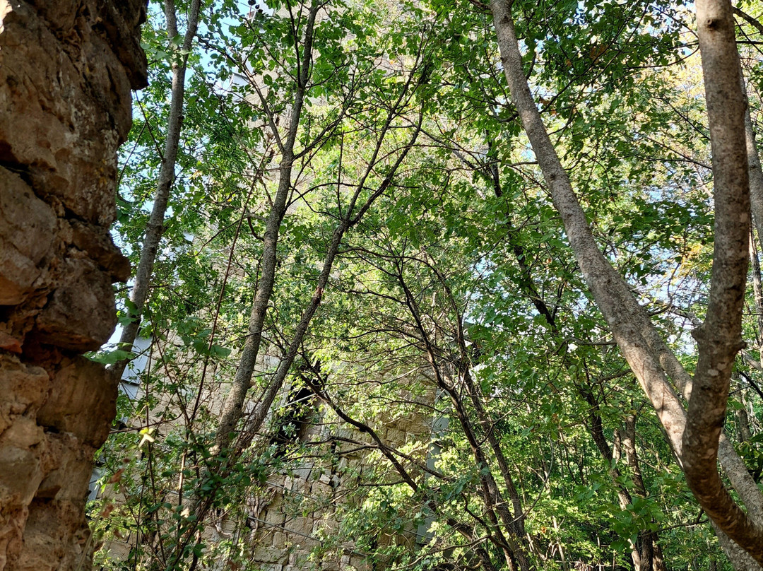 Torre di Vernazzano-Tuoro sul Trasimeno必去景点