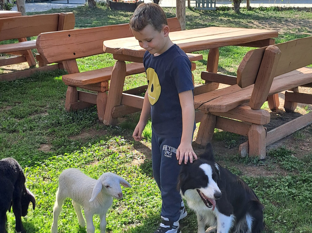 Cascina Granello Di Senape-Frossasco必去景点