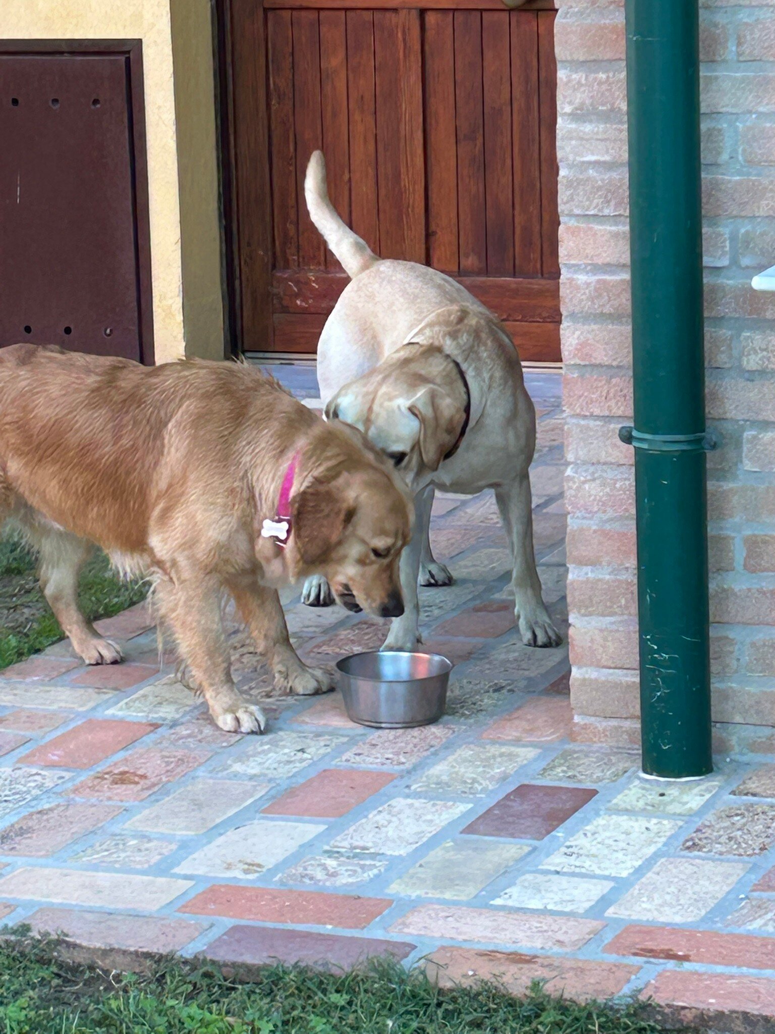 Agriturismo Ai Due Leoni-官方