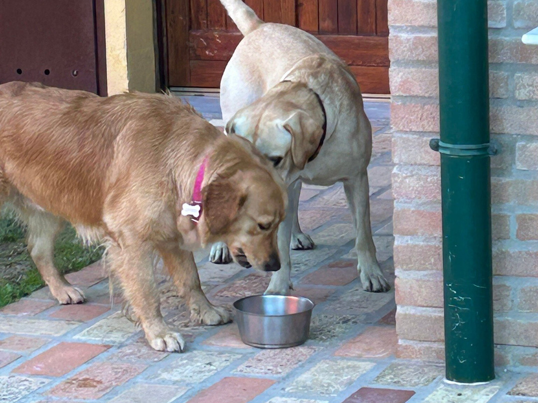 Agriturismo Ai Due Leoni主图