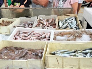 Porto Canale-Porto Garibaldi必去景点