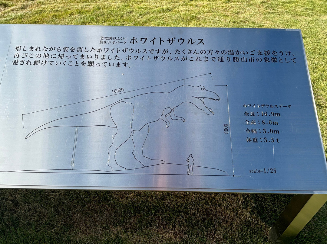 Whitesaurus-胜山市必去景点