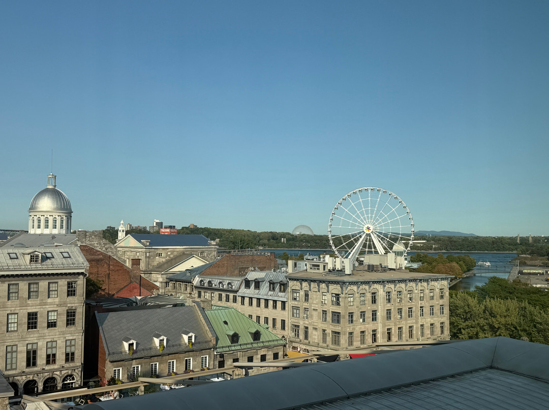 威廉格雷酒店主图