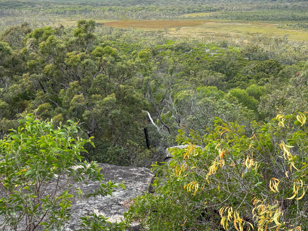 Moondoggie Beach & Bush Tours-Agnes Water必去景点
