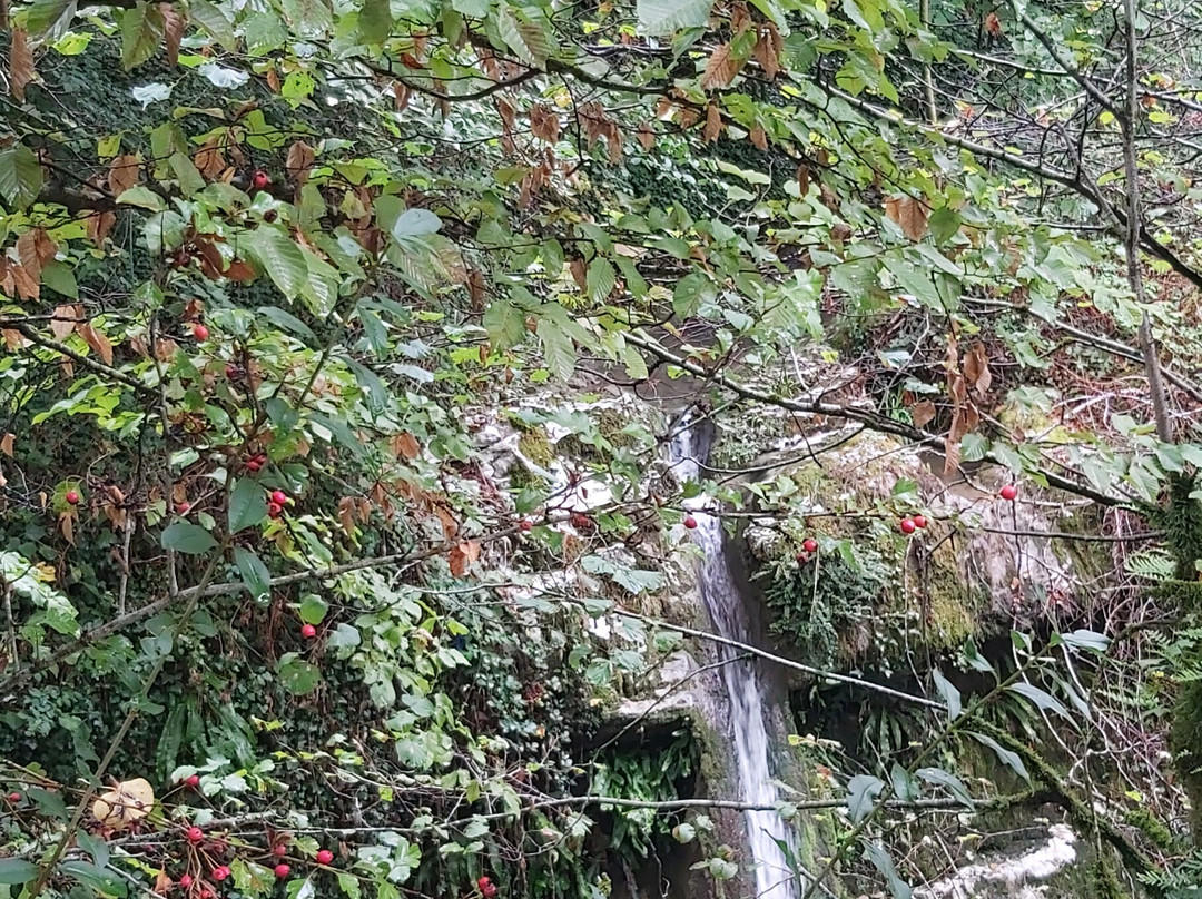 Gorges Du Sierroz-Gresy-sur-Aix必去景点