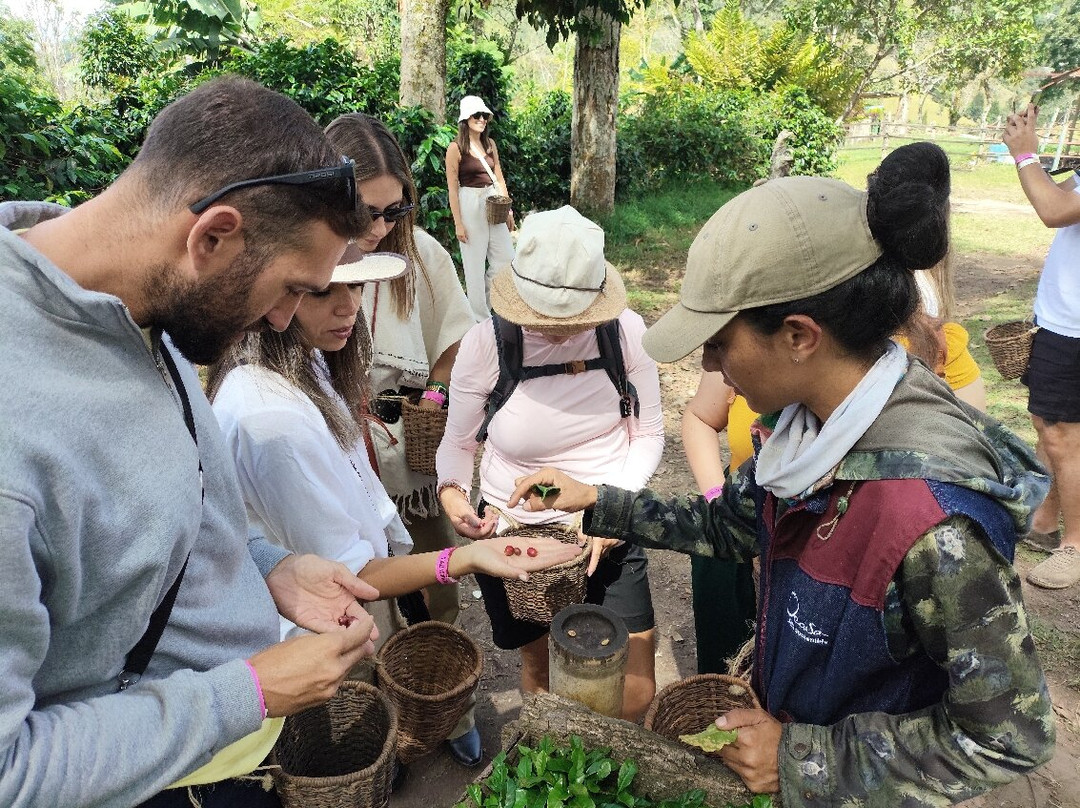 Ocaso Cafe Tour-萨伦托必去景点