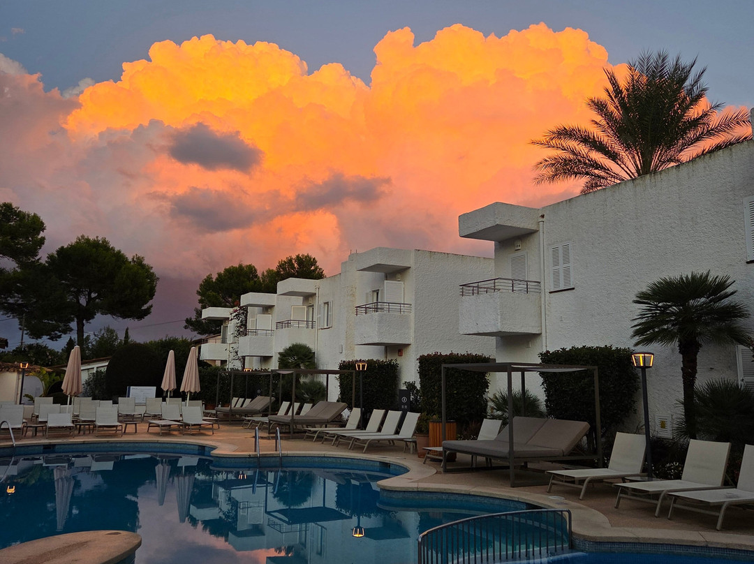 普林索特马斯帕斯酒店主图