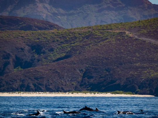 Tuna Tuna Tours-拉巴斯必去景点