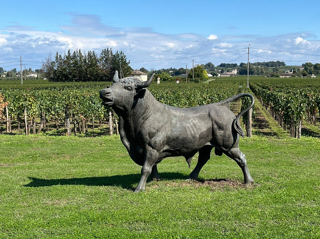 Chateau de Lescours-Saint-Sulpice-de-Faleyrens必去景点