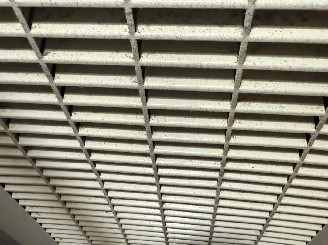 Courtyard by Marriott Norfolk Downtown主图