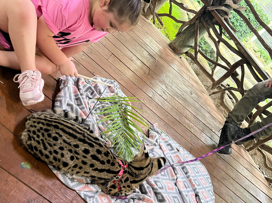 ZWF野生动物园-迈阿密必去景点