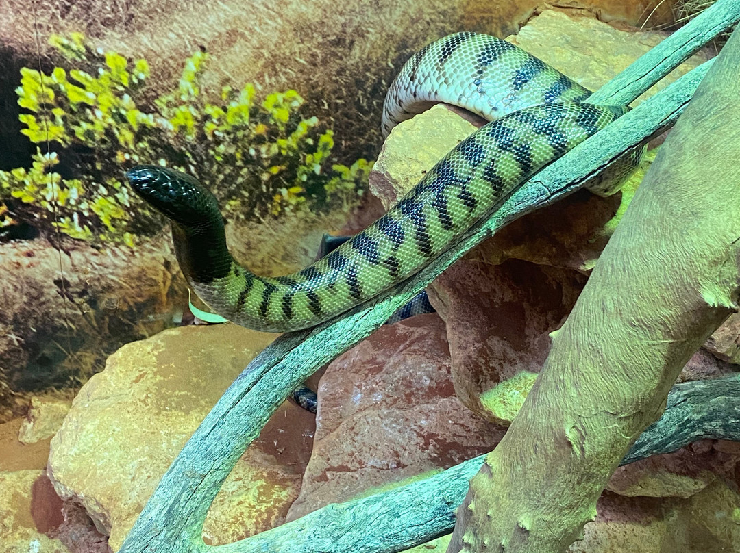 Ningaloo Centre-埃克斯茅斯必去景点