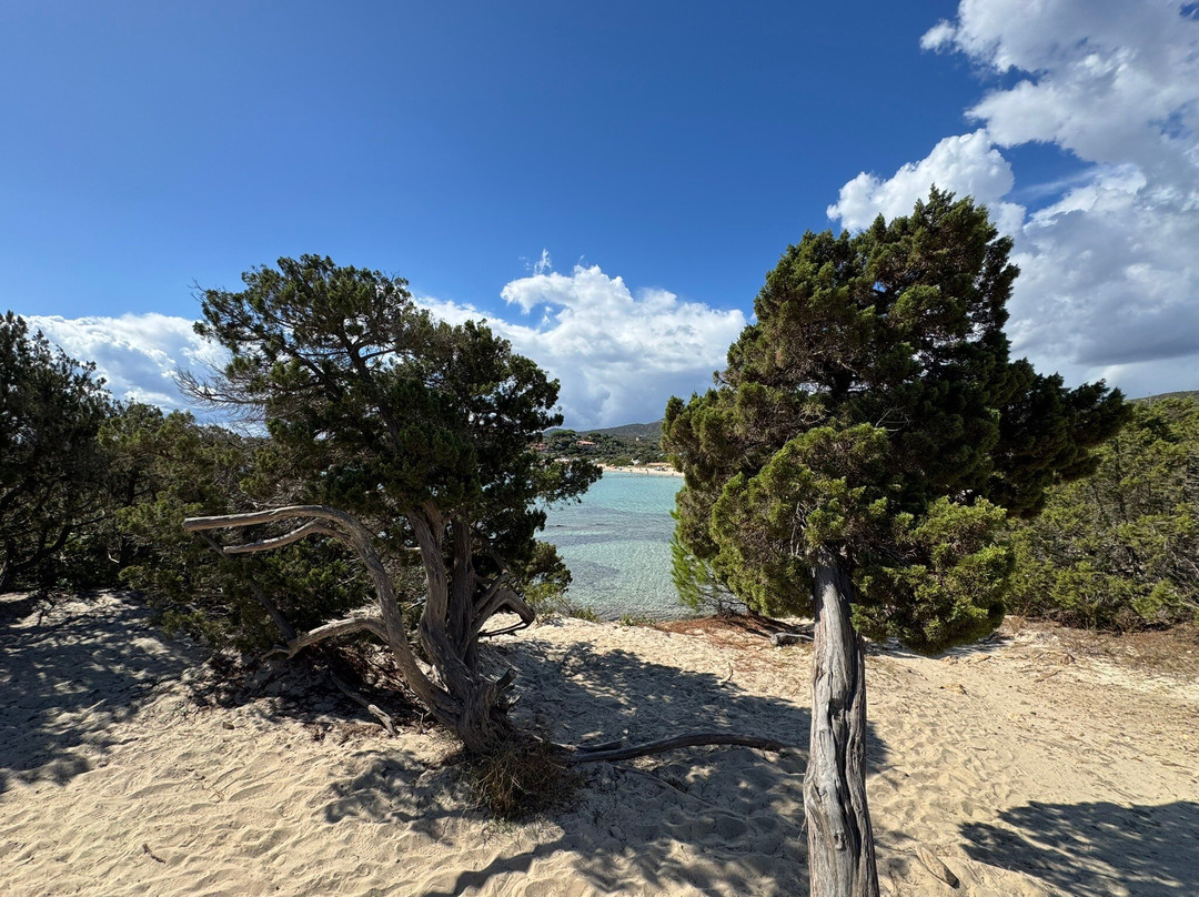 Cala Sassari-Golfo Aranci必去景点