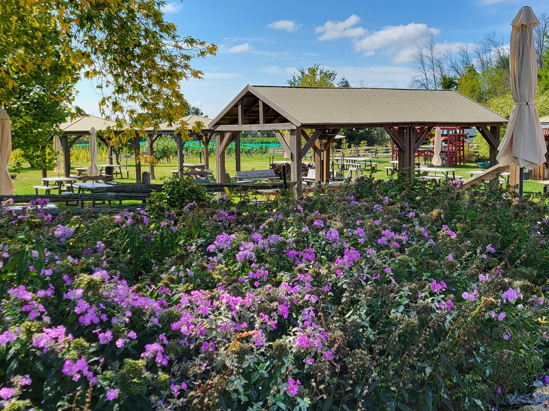 Three Dog Winery-皮克顿必去景点