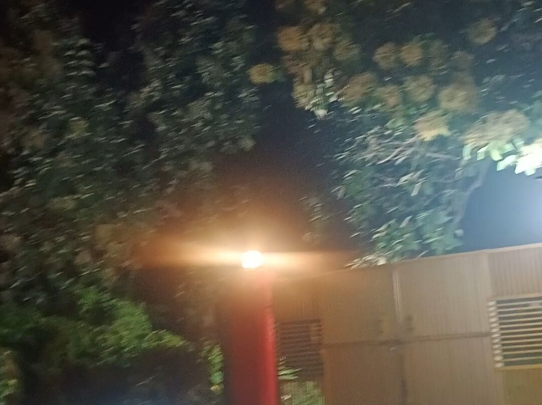 Treebo Trend Corbett Tiger Retreat