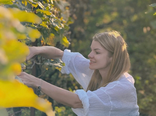 Amisulashvili Wine Cellar-Kolagi必去景点