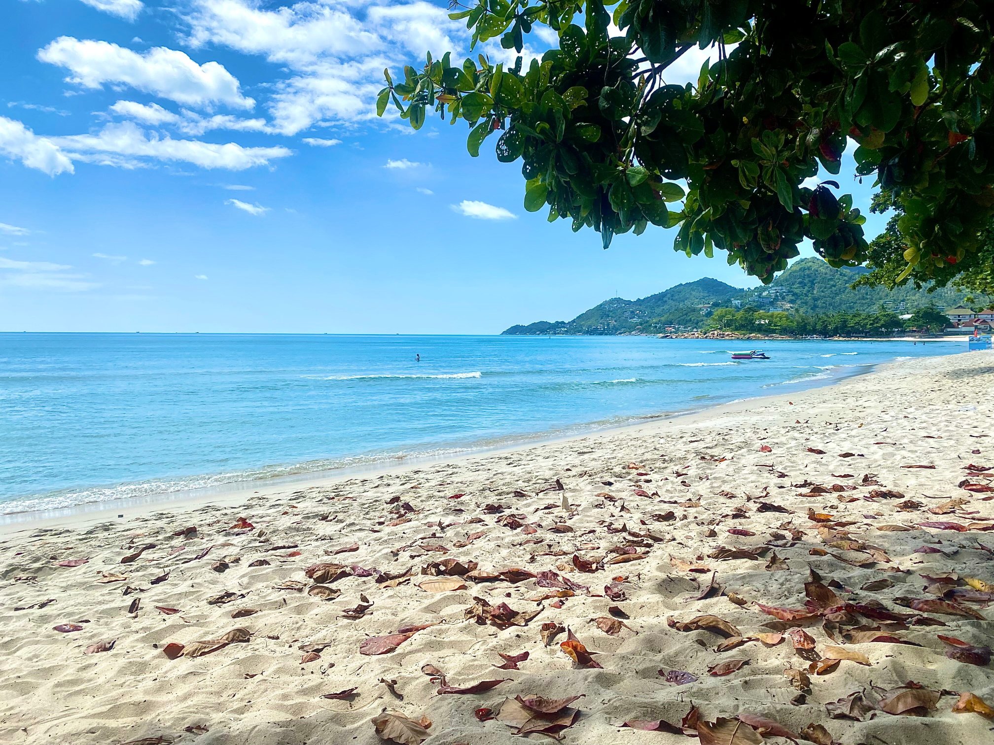 罂粟花苏梅酒店-泳池