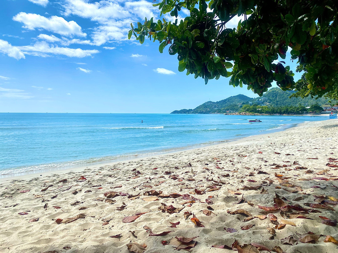 罂粟花苏梅酒店主图