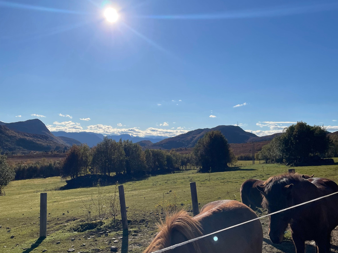 Stall Kjellbotn-Helland必去景点