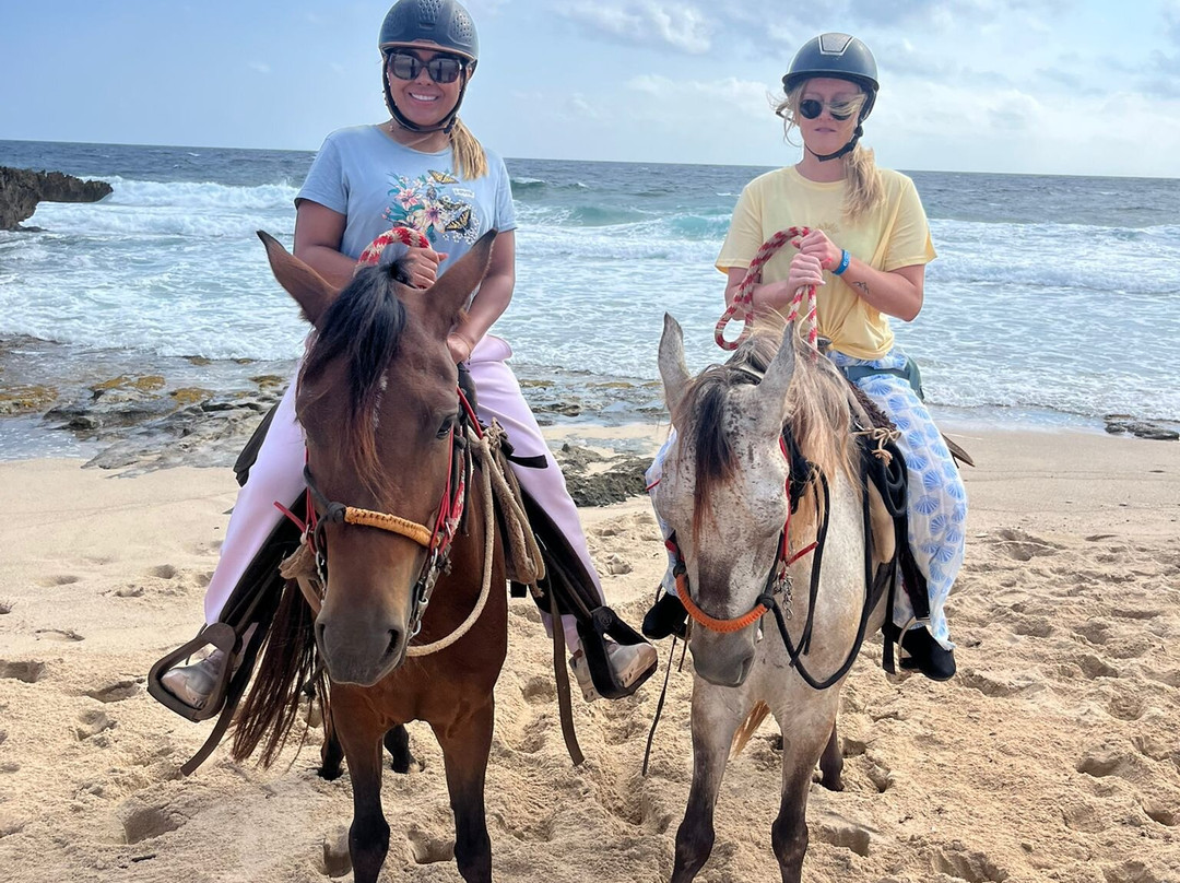 Dorothy Fishing Charters-奥腊涅斯塔德必去景点