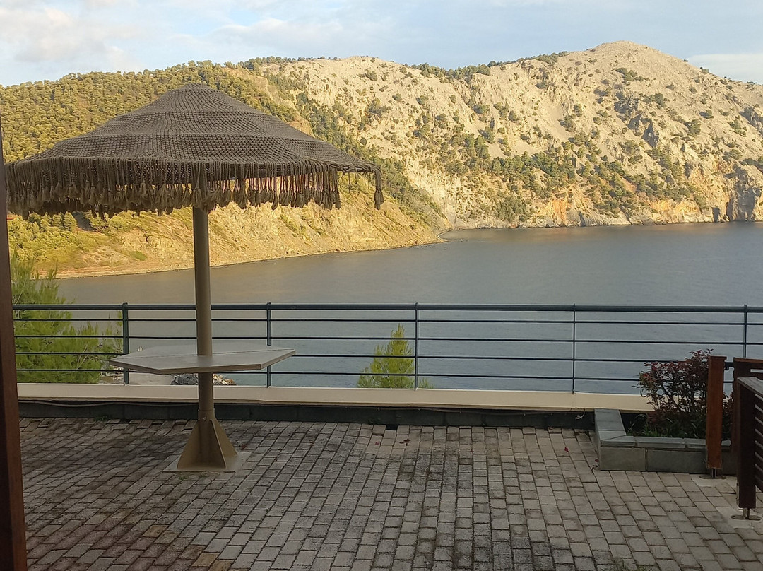 Xenia Residence主图