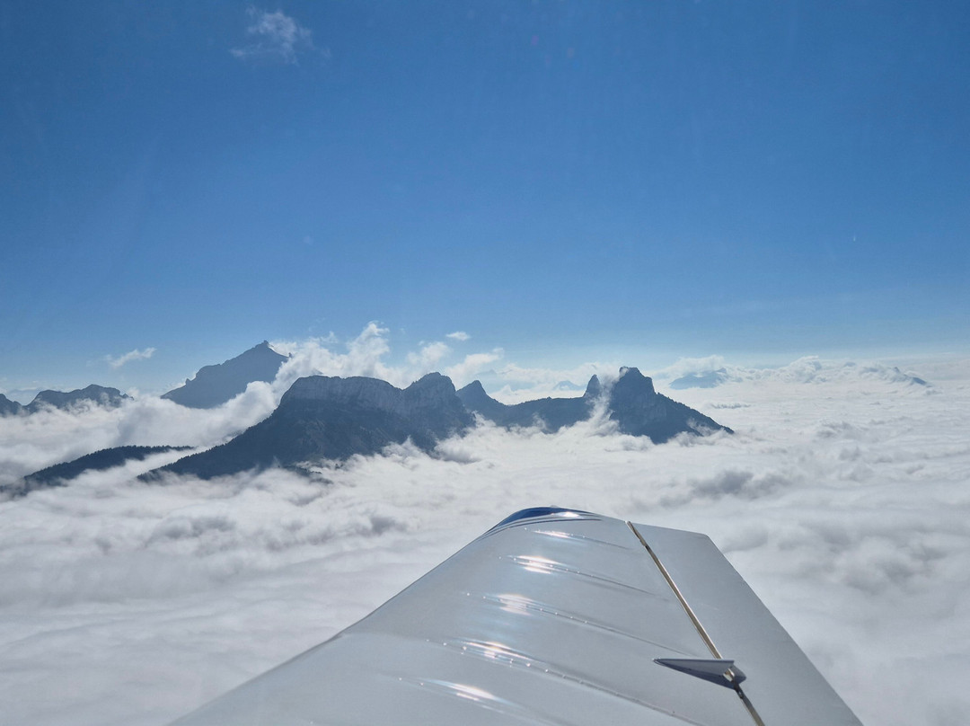 Avialpes-Metz-Tessy必去景点