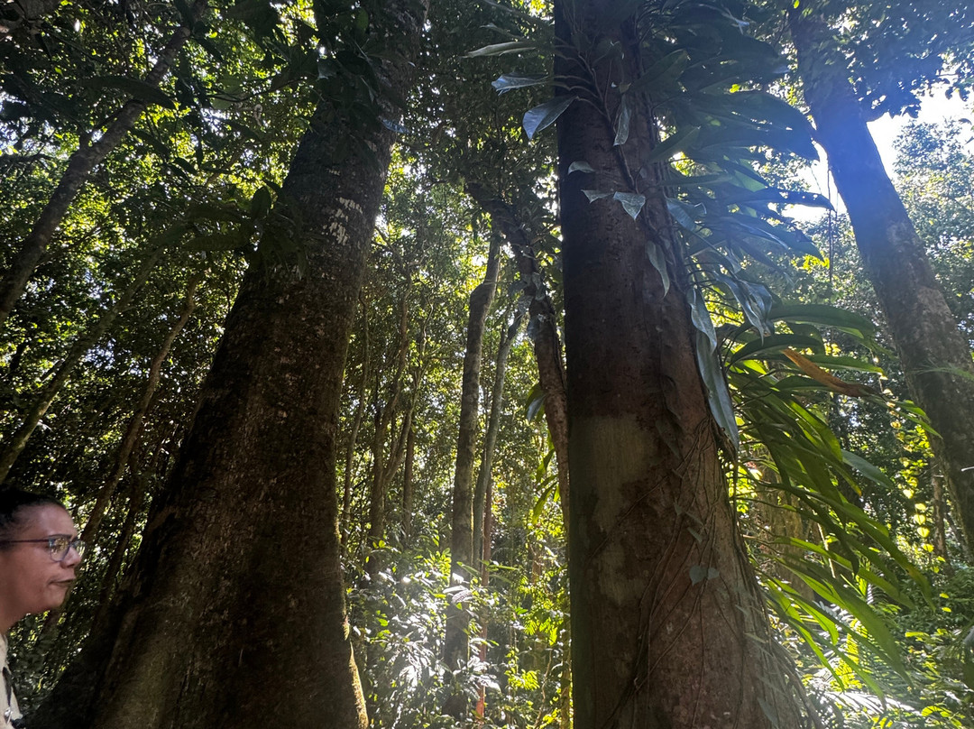 North West Outback Safaris-凯恩斯必去景点
