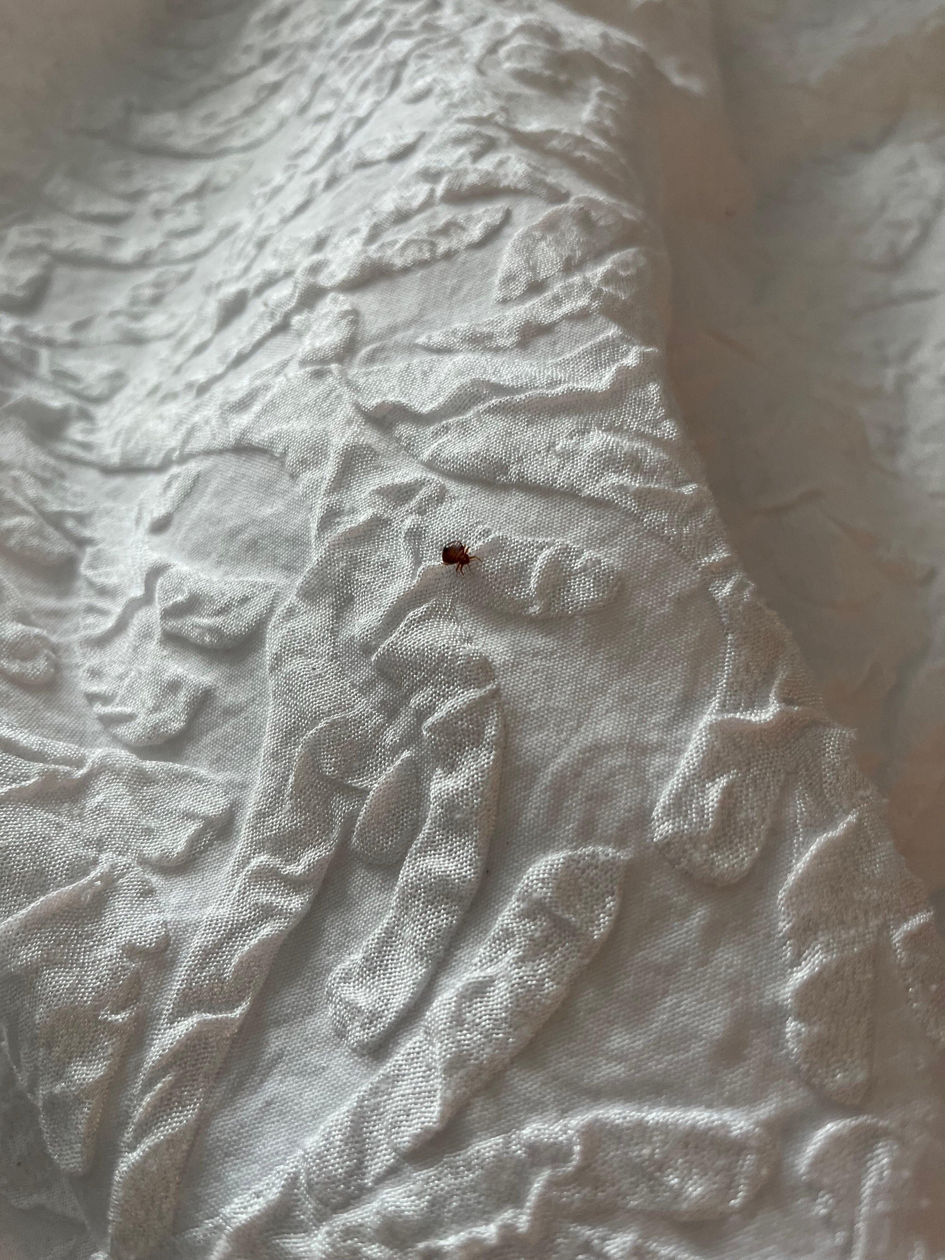 Hampton Inn Waycross-客卧