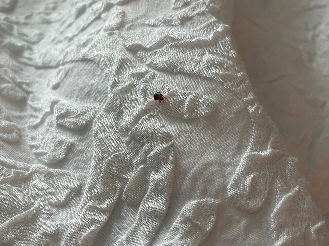 Hampton Inn Waycross主图