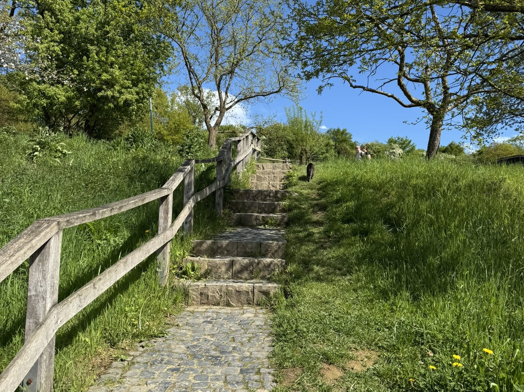 LVR-Freilichtmuseum Lindlar-Lindlar必去景点