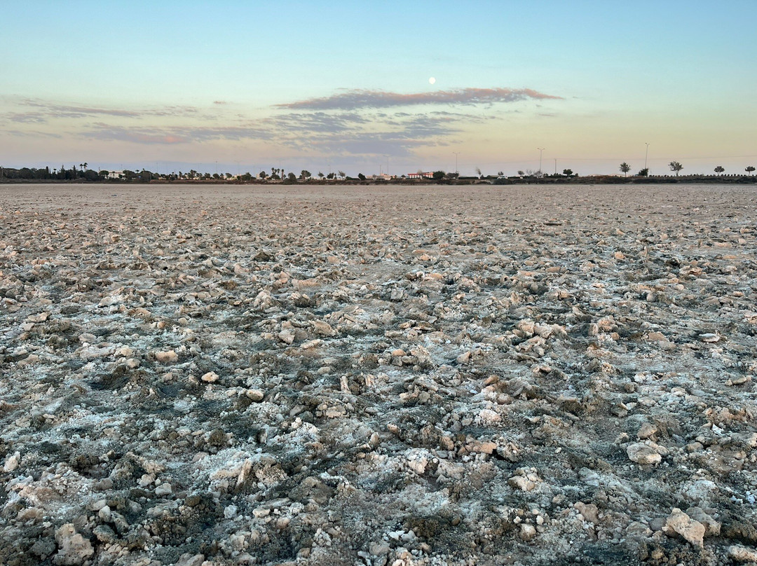Larnaka Salt Lake-拉纳加必去景点