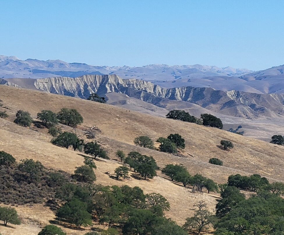 Calera Wine Company-霍利斯特必去景点