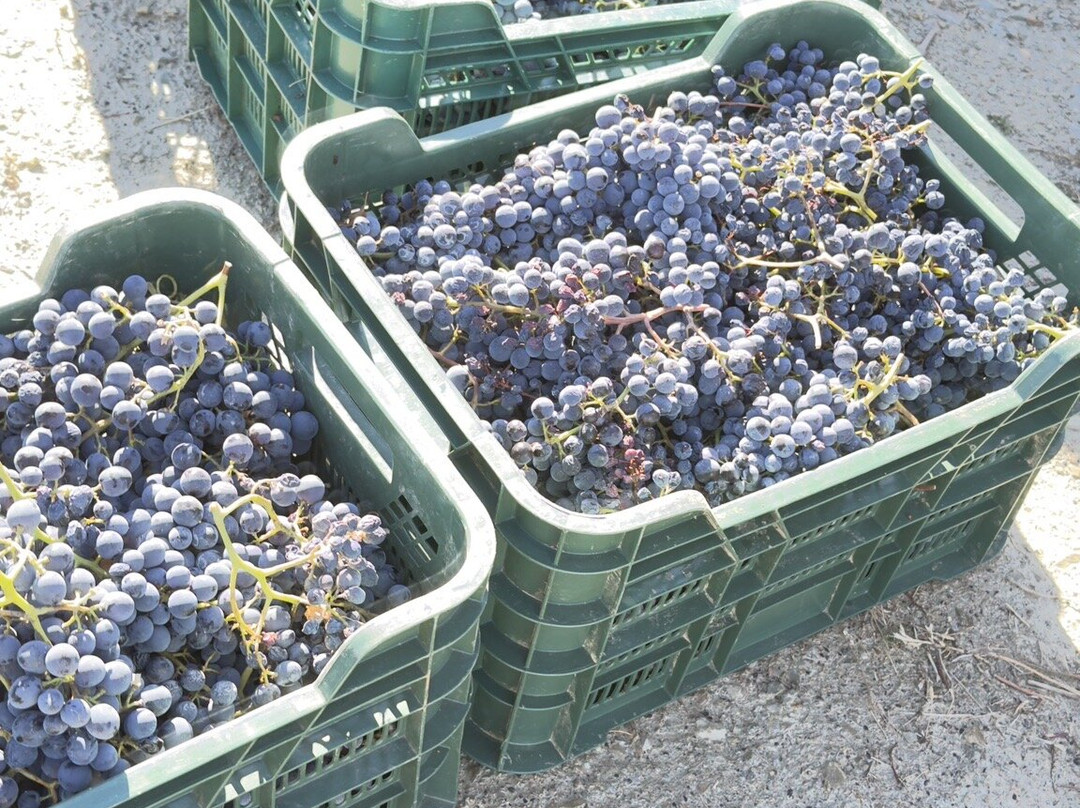 Quevedo-Sao Joao da Pesqueira必去景点