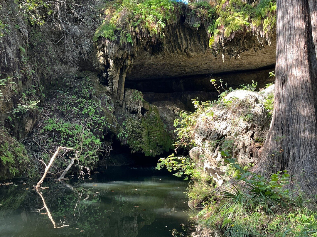 Westcave Outdoor Discovery Center-奥斯丁必去景点
