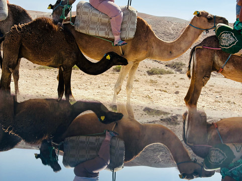 Lahcen Morocco Tours-马拉喀什必去景点