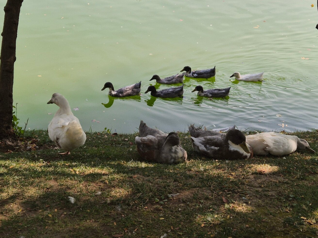 Japanese Garden-塔什干必去景点