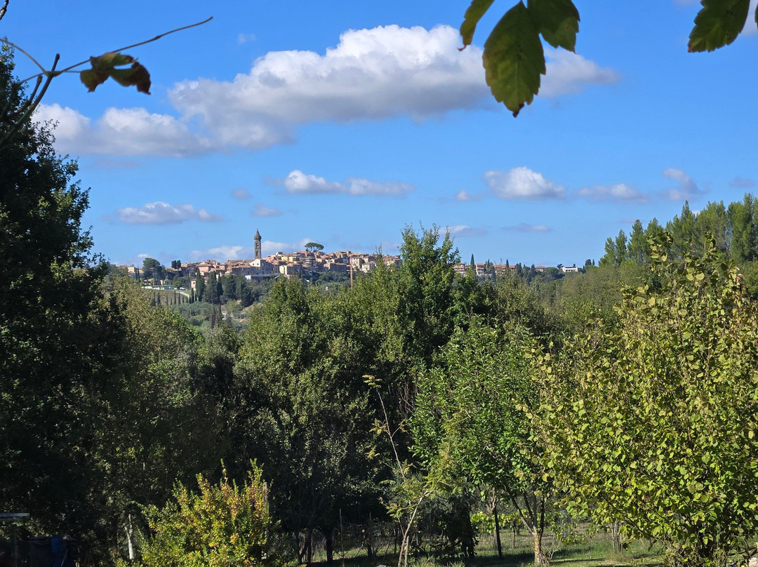 Biking Tuscany Tour-Peccioli必去景点
