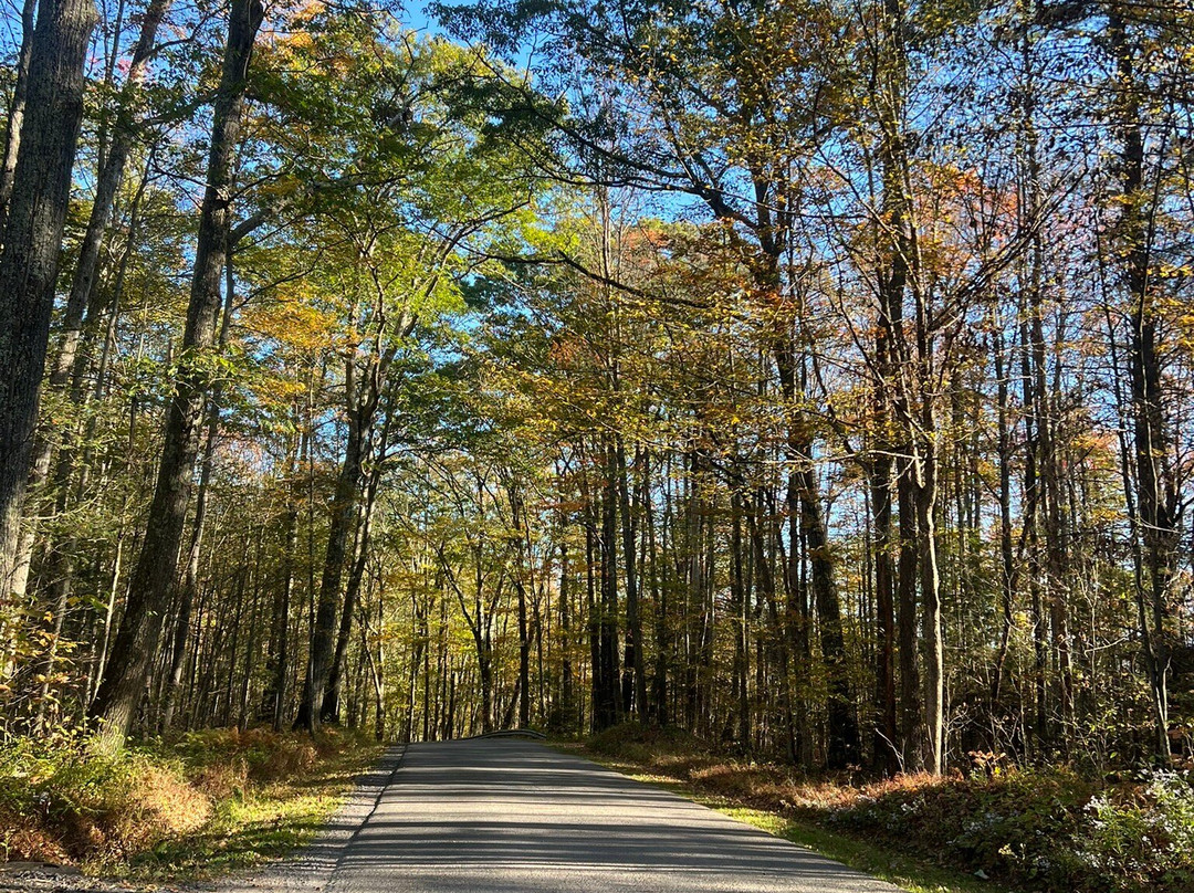Colton Point State Park-Wellsboro必去景点