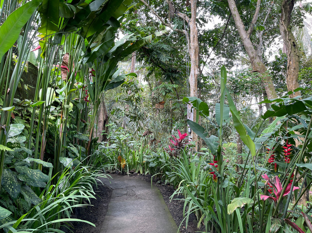 Sidemen Swing-席德门必去景点