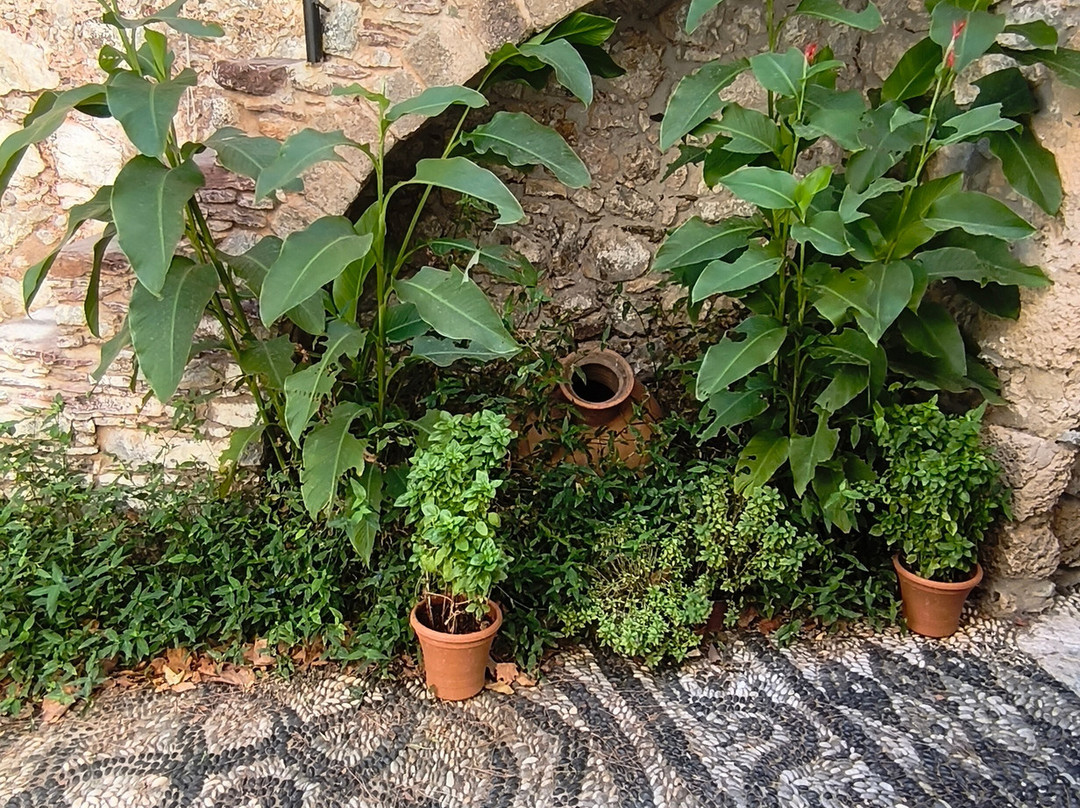 Agios Pandeleimonas-Tilos必去景点