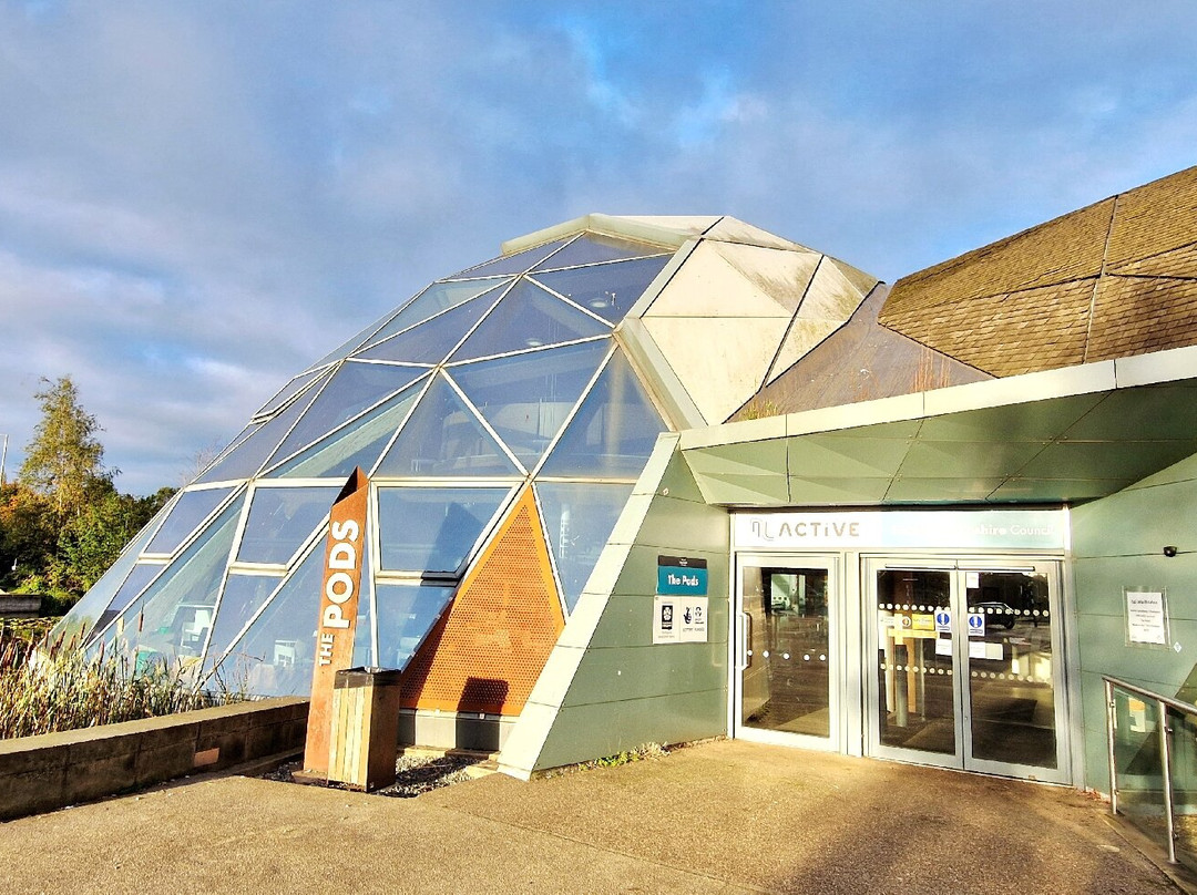 The Pods