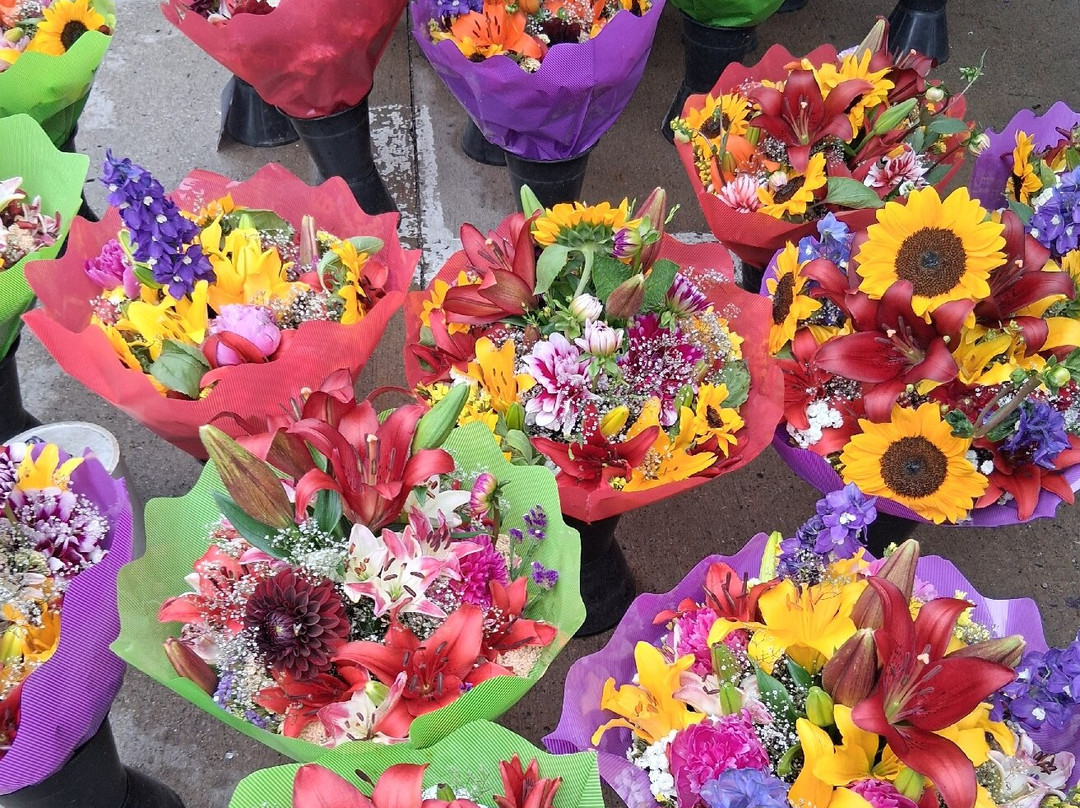 Oshkosh Farmers Markets-奥什科什必去景点