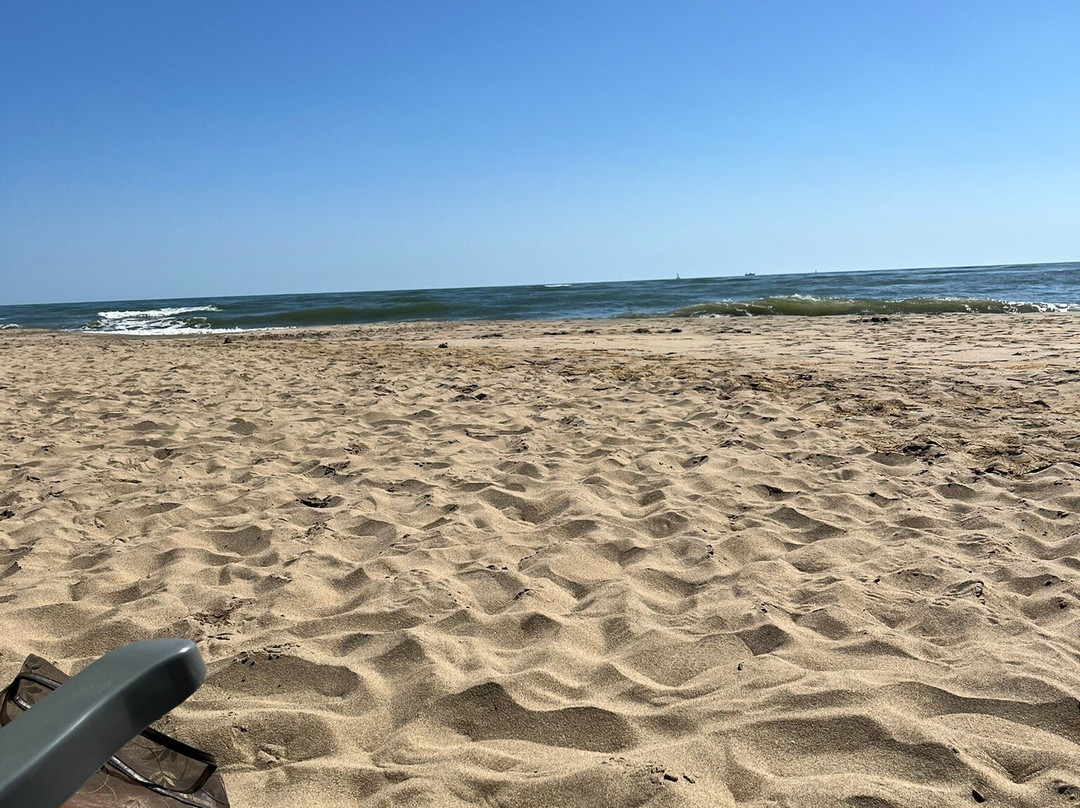 Playa De Isla Canela-Isla Canela必去景点