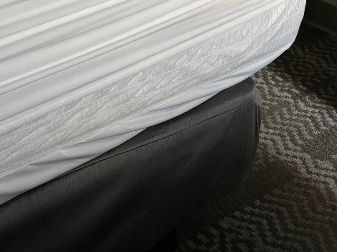 Staybridge Suites Phoenix - Glendale Sports Dist by IHG主图