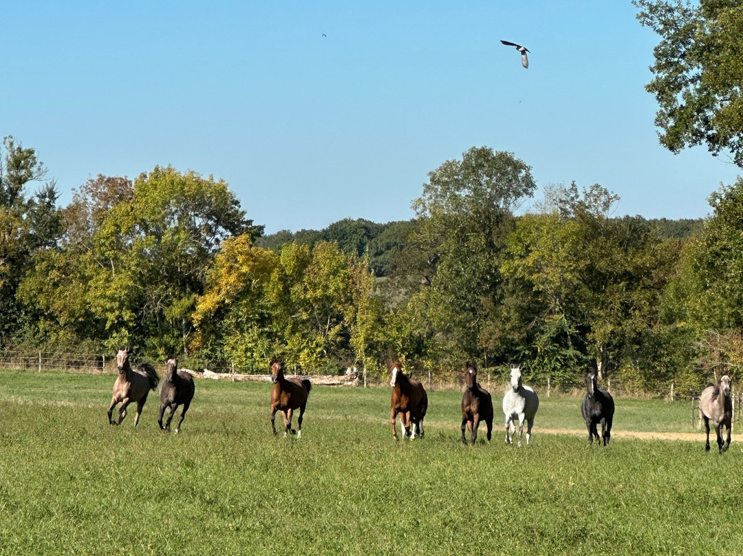 Randos en quad Off-Road Wine Tours-Eymet必去景点