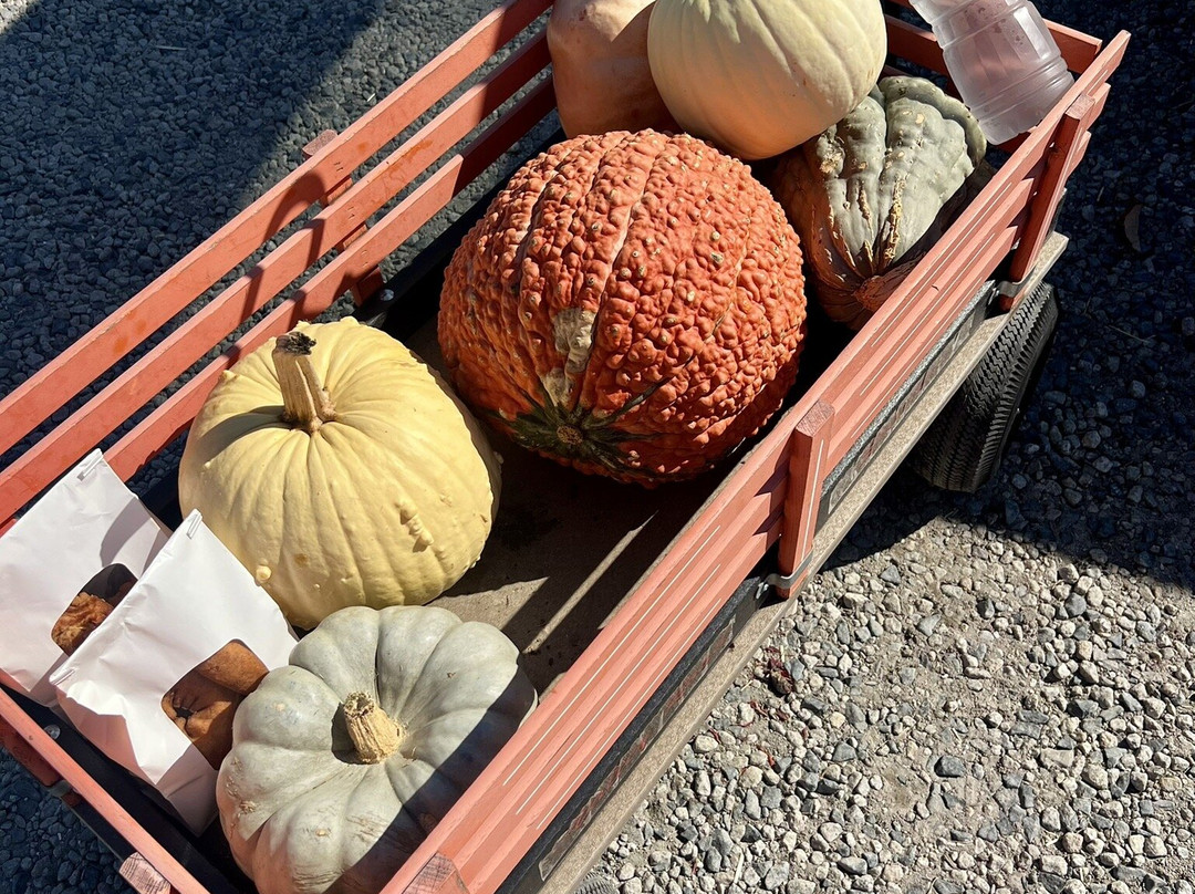 Wallingford Farm-Kennebunk必去景点