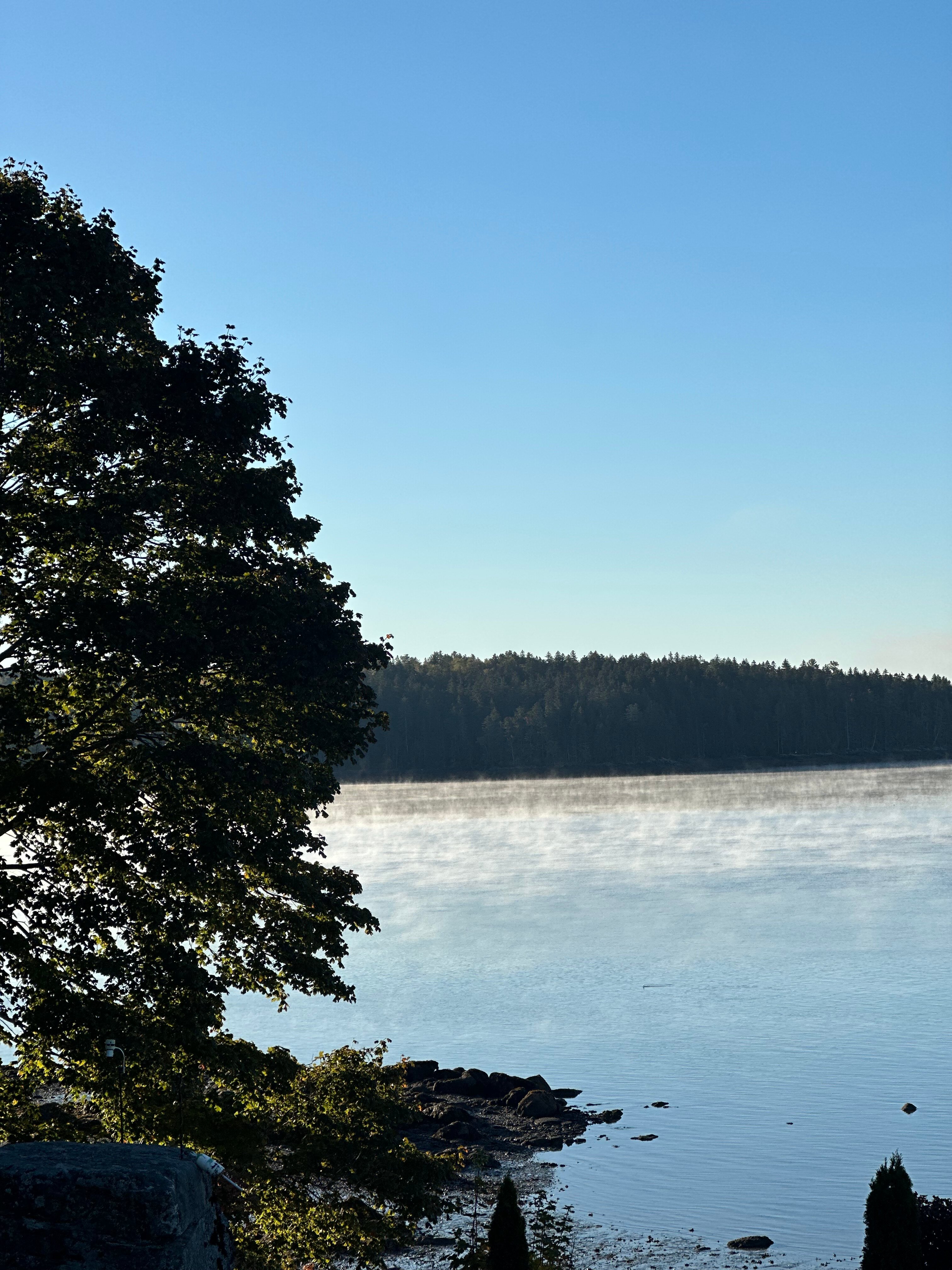 Acadia Bay Inn-官方