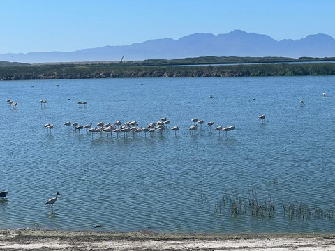 People Like Us Safaris-开普敦中心区必去景点